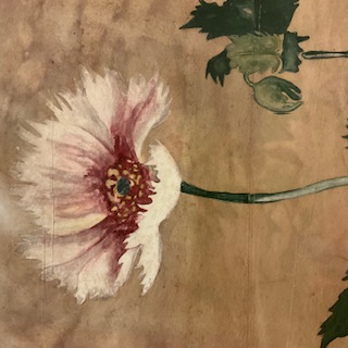 花一輪